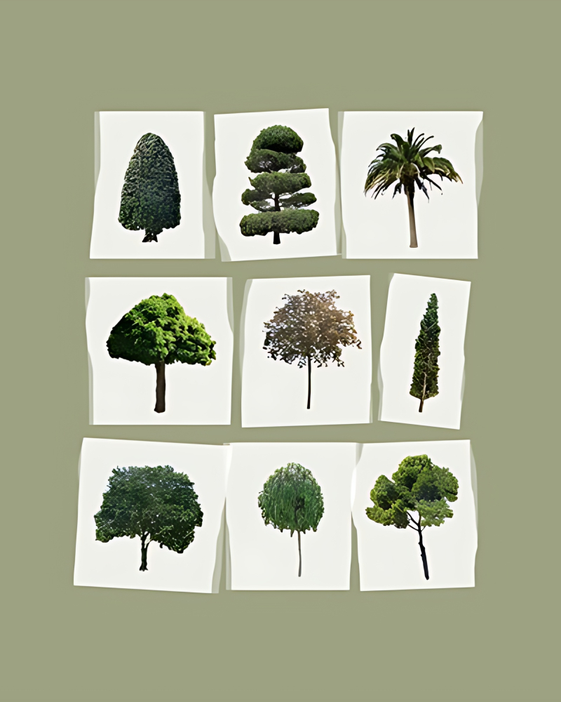 ZAGNE Wood Masking Tape - Washi Tape