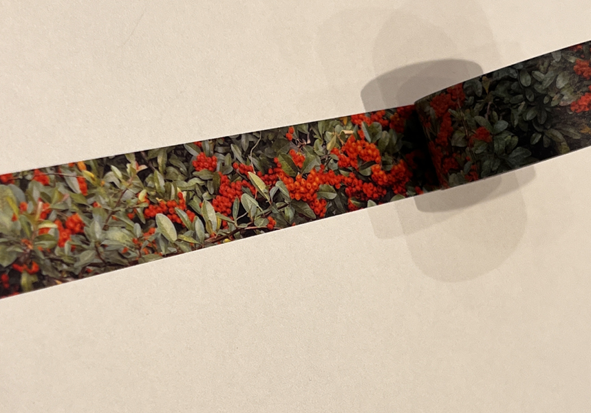 ZAGNE Pyracantha Masking Tape - Washi Tape - View 1