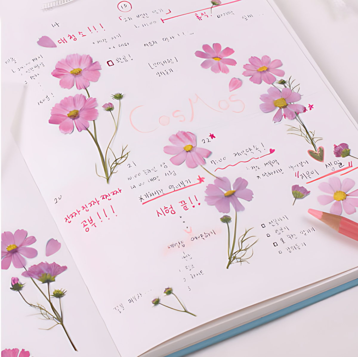 Appree Pressed Flower Sticker Cosmos - Office Supplies