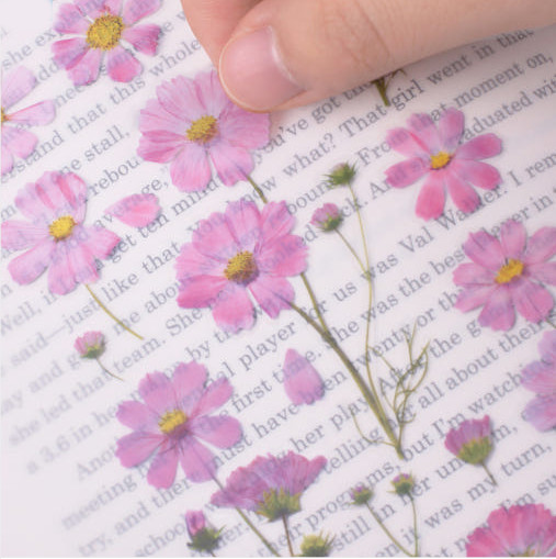Appree Pressed Flower Sticker Cosmos - Office Supplies - View 1