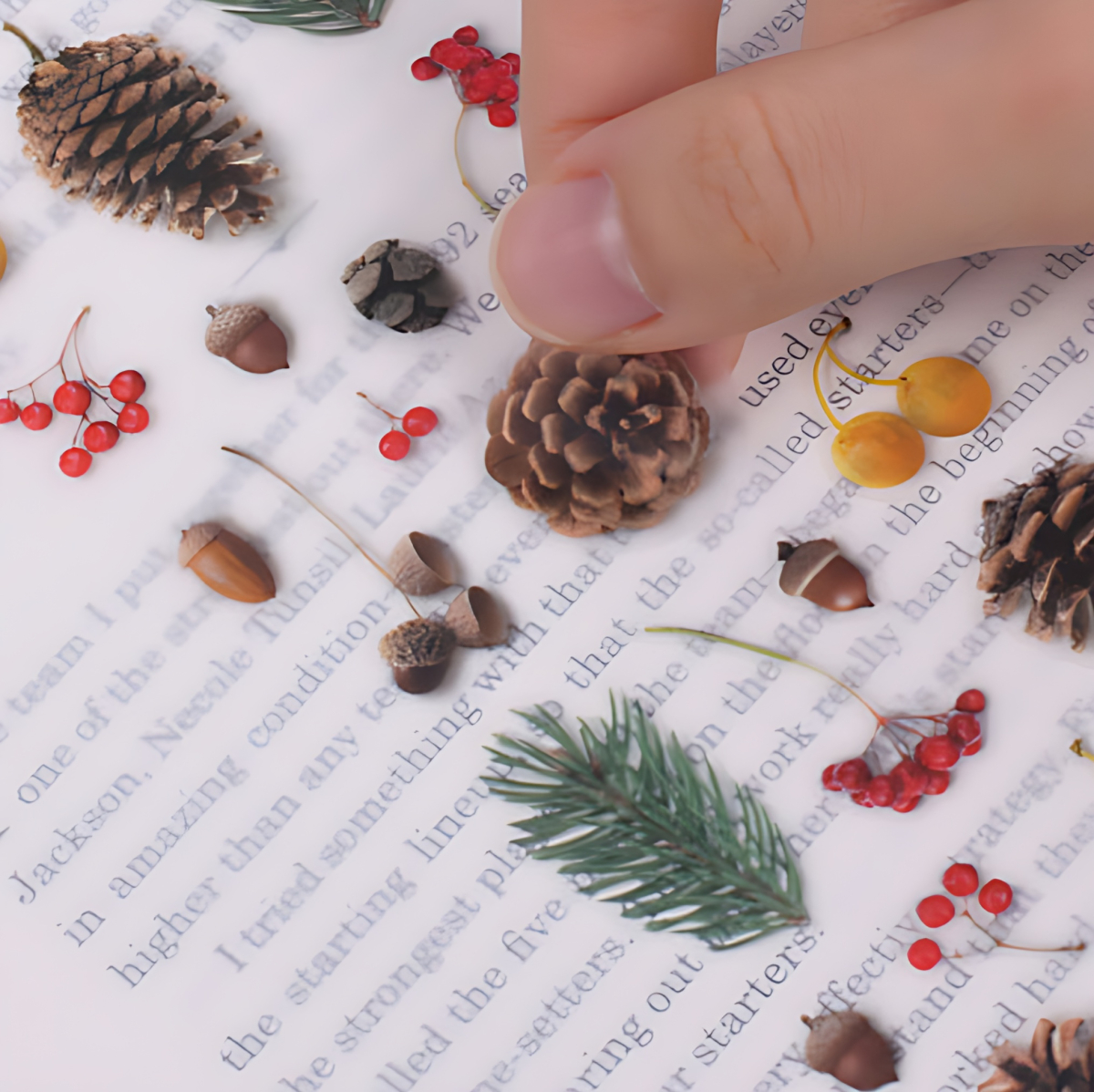 Appree Nature Sticker Pine Tree Road - Office Supplies