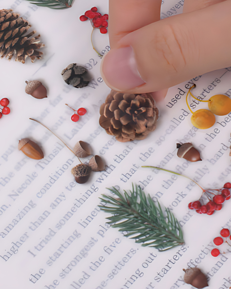 Appree Nature Sticker Pine Tree Road - Office Supplies