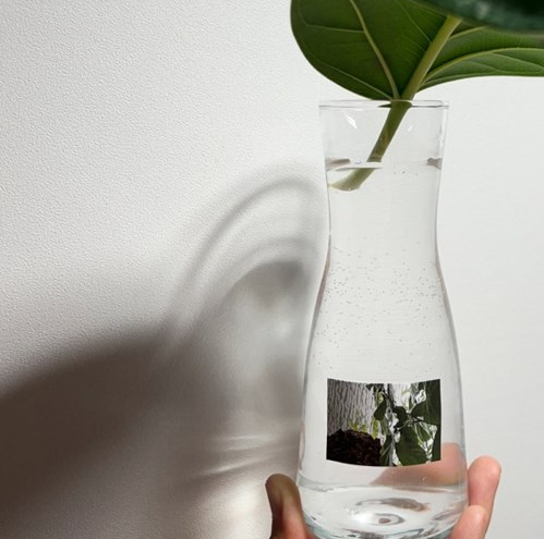 ZAGNE Quiet Lake Sticker - Office Supplies - View 1