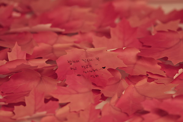 Appree Sticky Leaf Maple Sticky Notes - Red M/L - Memo Pads & Sticky Notes