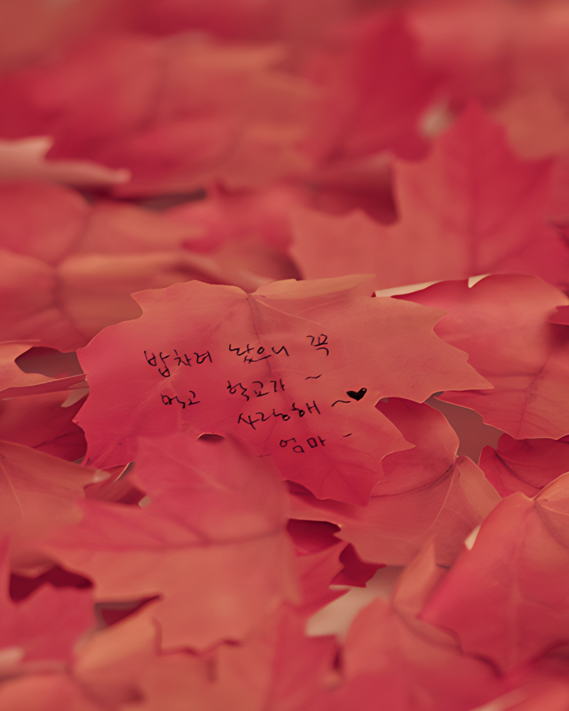 Appree Sticky Leaf Maple Sticky Notes - Red M/L - Memo Pads & Sticky Notes