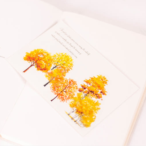 Appree Forest Sticker Yellow Tree - Office Supplies - View 1