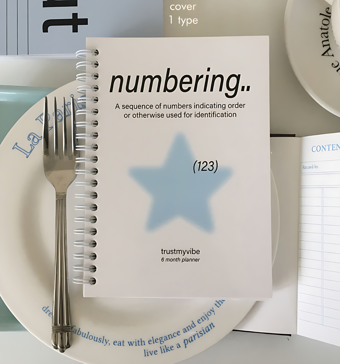 TRUST MY VIBE Numbering 6 Month Planner (Spring) - Office Supplies