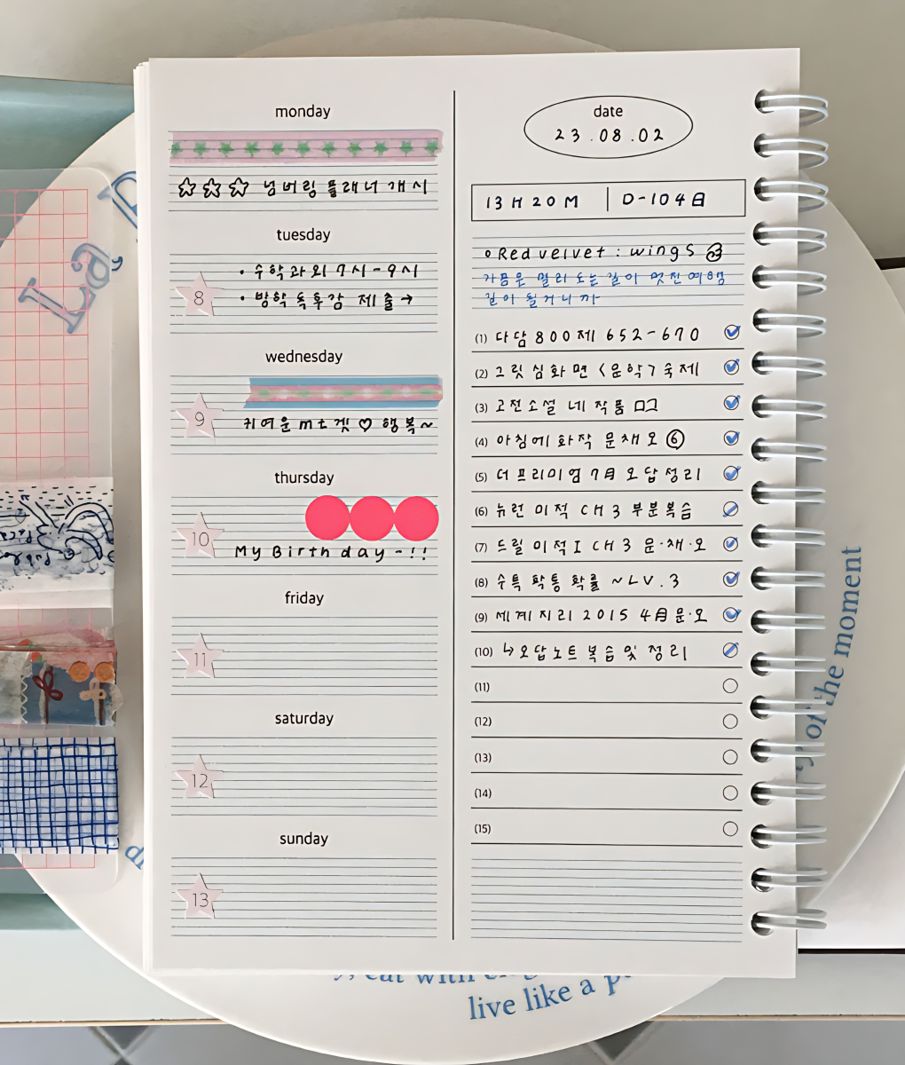 TRUST MY VIBE Numbering 6 Month Planner (Spring) - Office Supplies - View 1