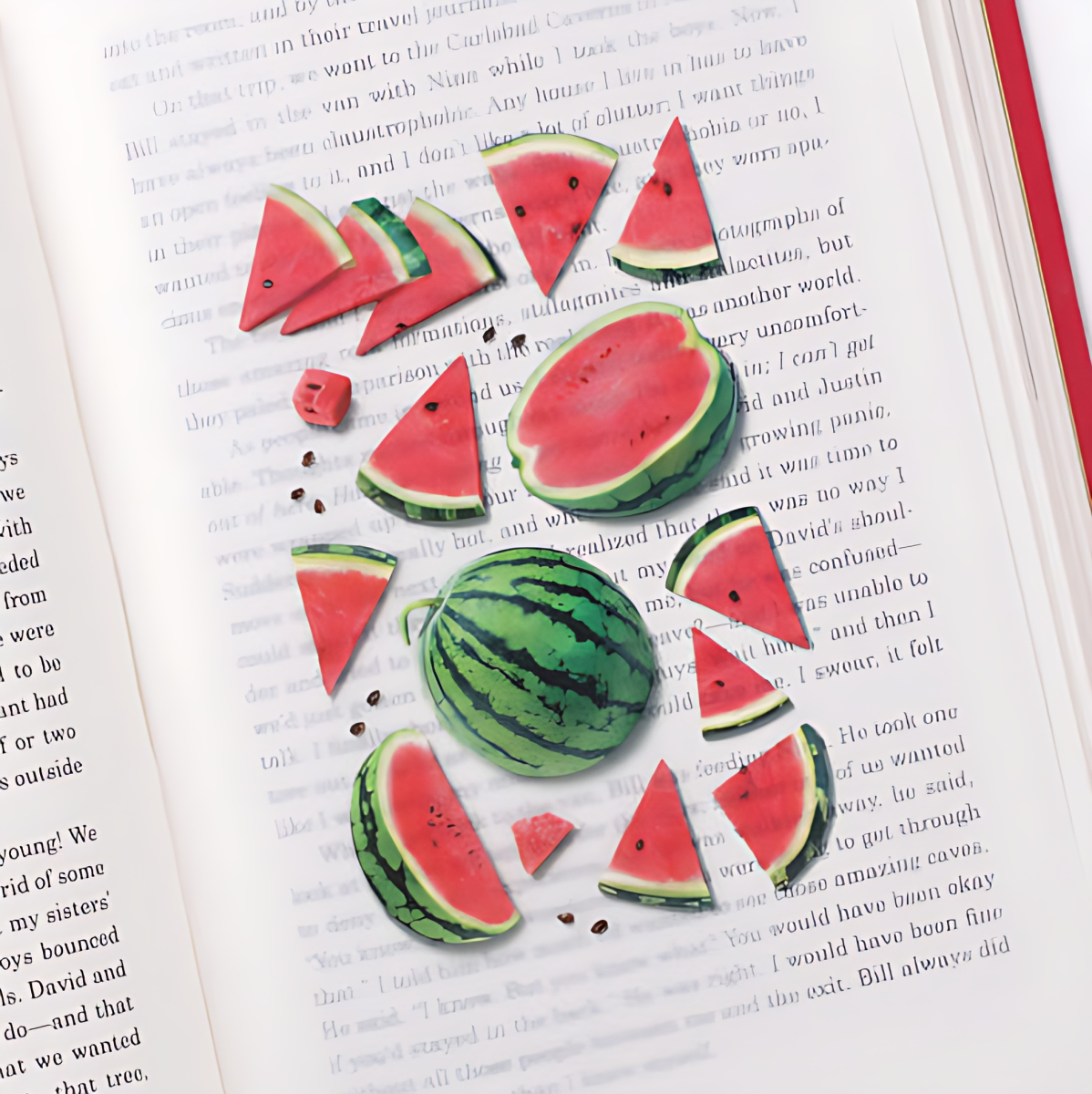 Appree Fruit Sticker Watermelon - Office Supplies - View 1