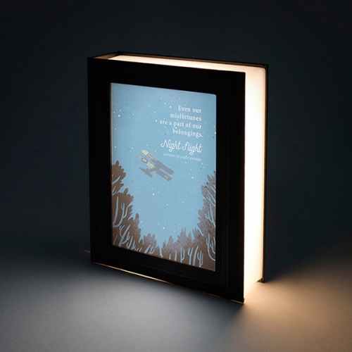 BOOKFRIENDS Literary Lighting Book Mood Lamp – Night Flight - Home & Living - View 1