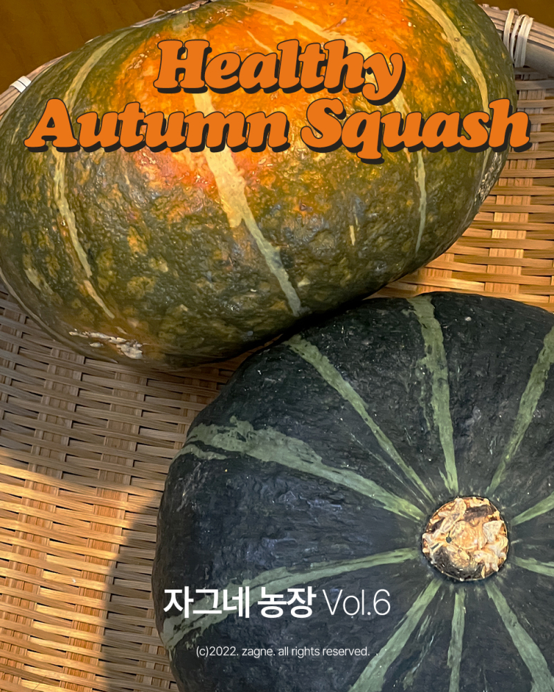 Alternative view of ZAGNE Autumn Squash Peel Masking Tape