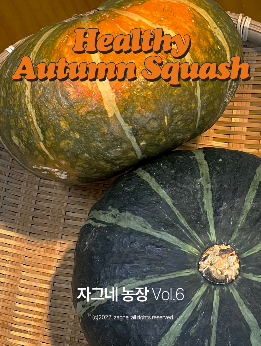 Alternative view of ZAGNE Autumn Squash Peel Masking Tape