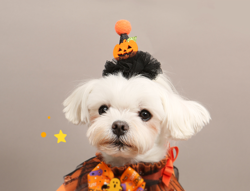 ITSDOG Halloween Bat Pumpkin Pin