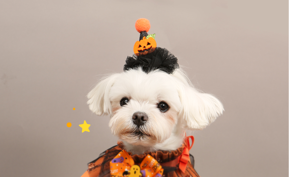 ITSDOG Halloween Bat Pumpkin Pin