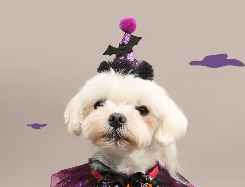 Alternative view of ITSDOG Halloween Bat Pumpkin Pin