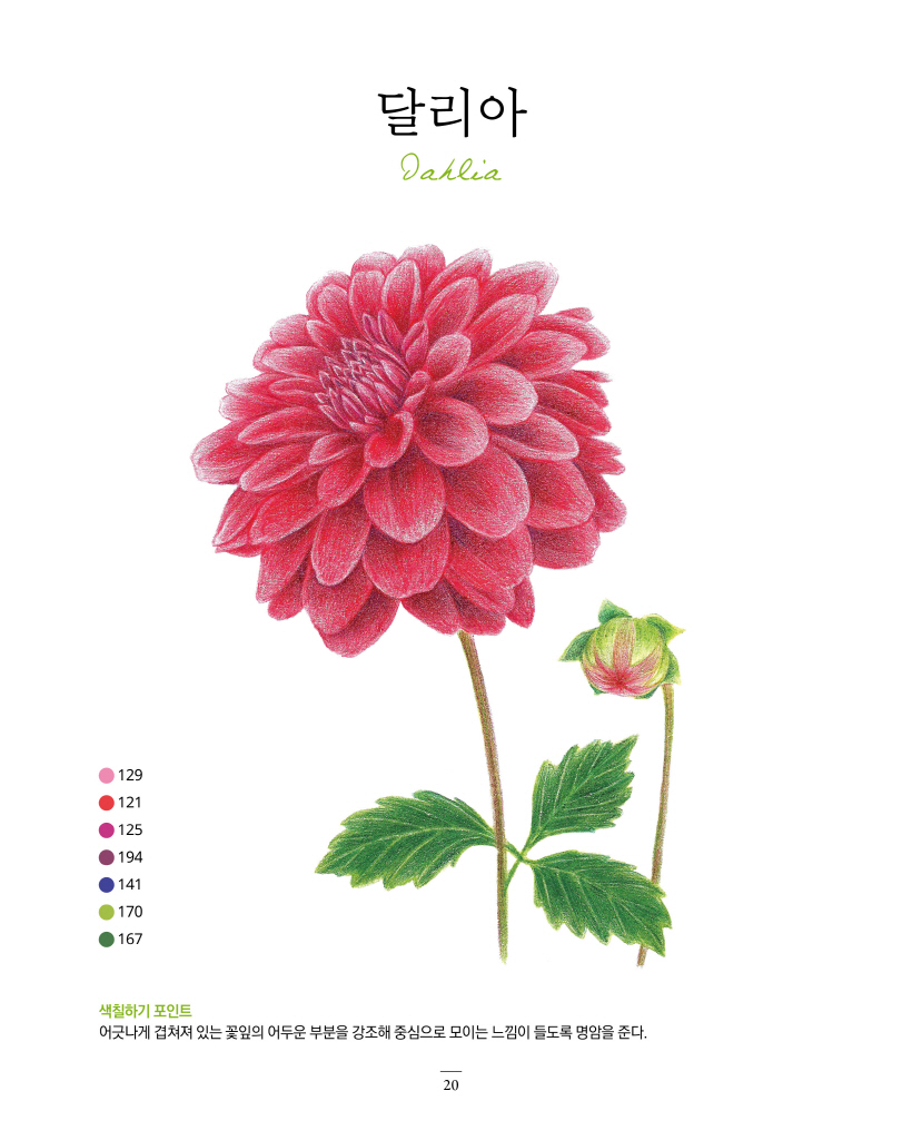 Alternative view of Our Home Garden Coloring Book