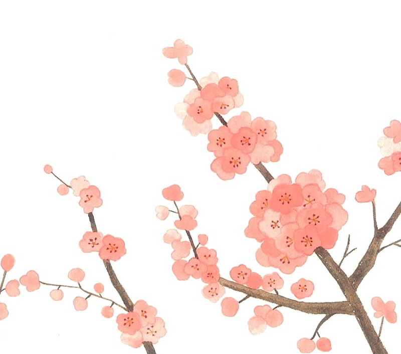 Alternative view of Jeju Watercolor Journey Coloring Book