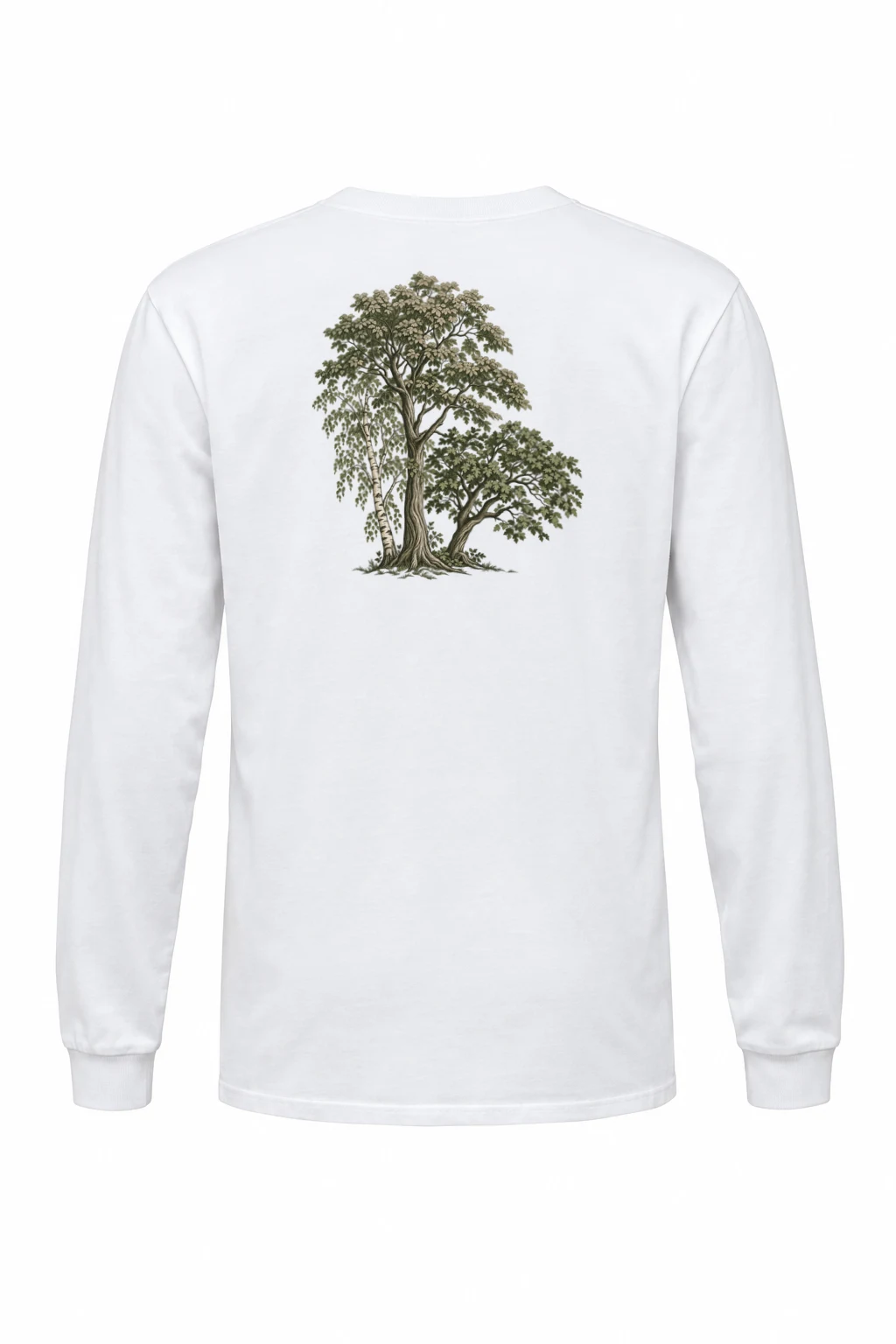 "Birch Grove Study" Unisex Longsleeve T-shirt | Gildan 2400