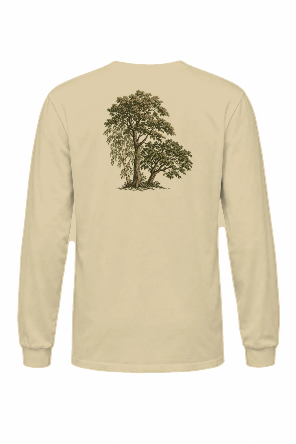 "Birch Grove Study" Unisex Longsleeve T-shirt | Gildan 2400