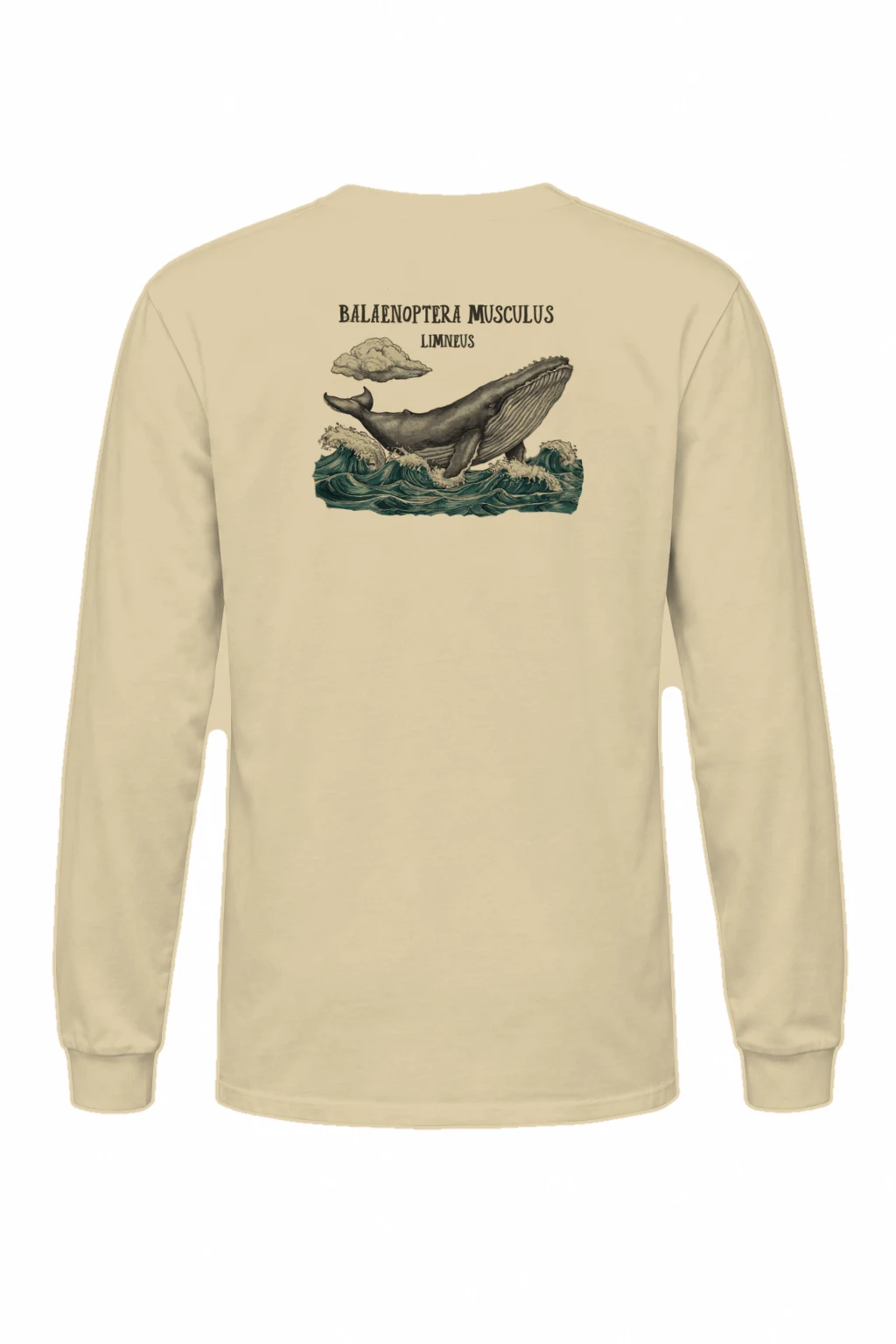 "Blue Whale Engraving" Unisex Longsleeve T-shirt | Gildan 2400