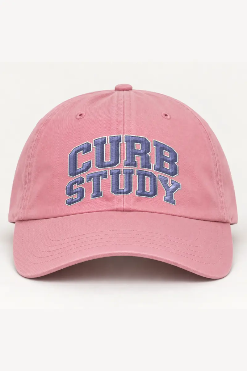 "Curb Study" Classic Dad Hat · Embroidered