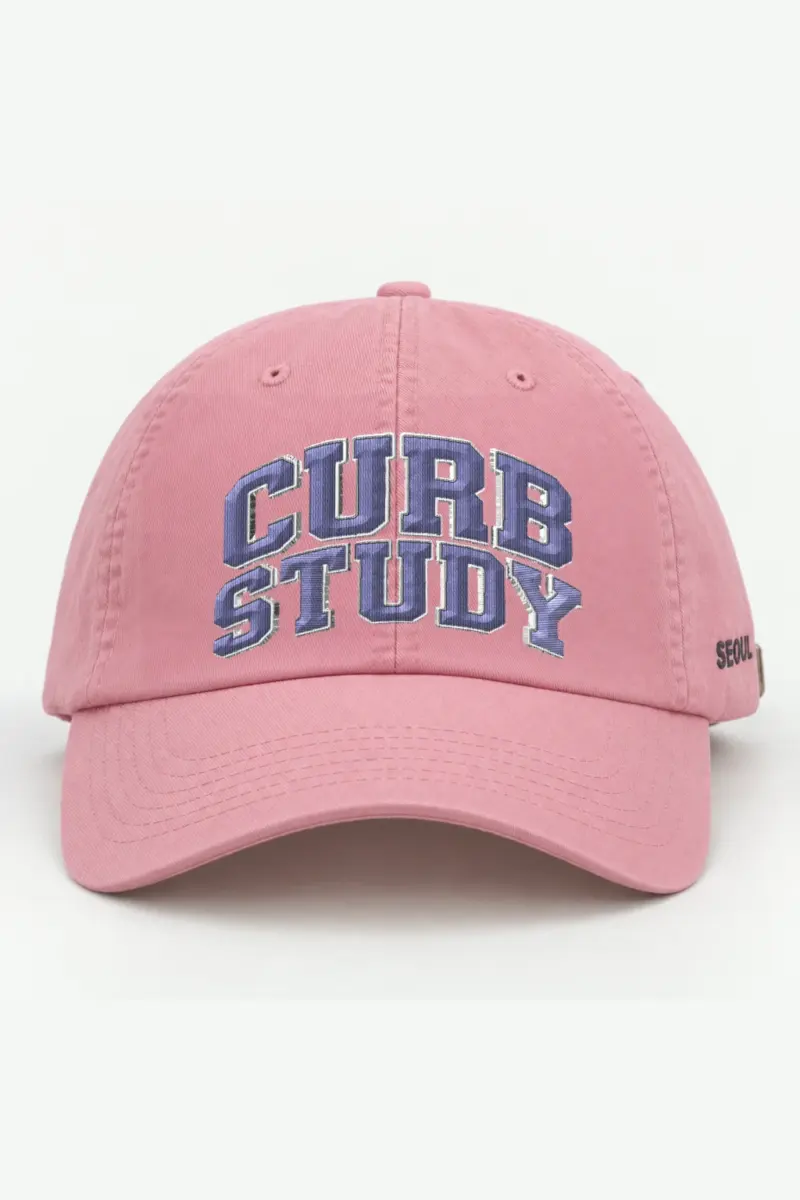 "Curb Study" Classic Dad Hat · Embroidered