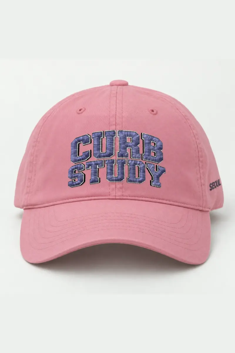 "Curb Study" Classic Dad Hat · Embroidered