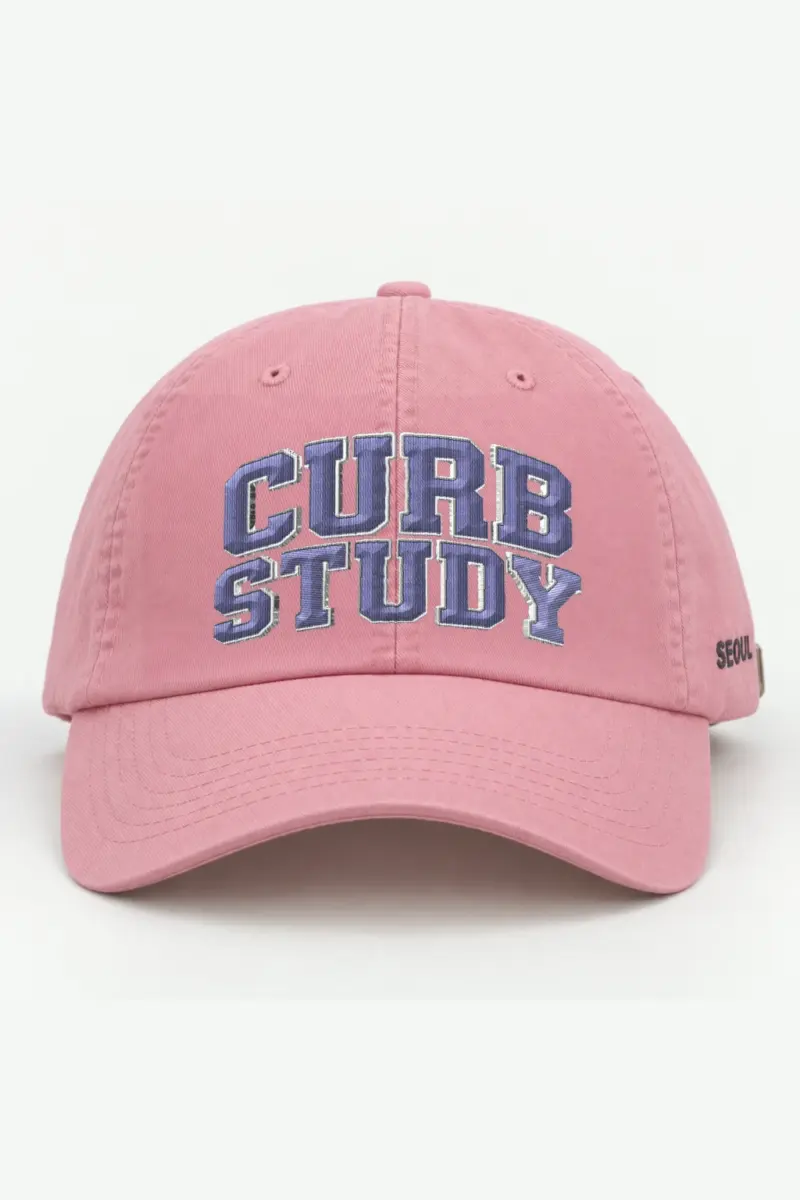 "Curb Study" Classic Dad Hat · Embroidered