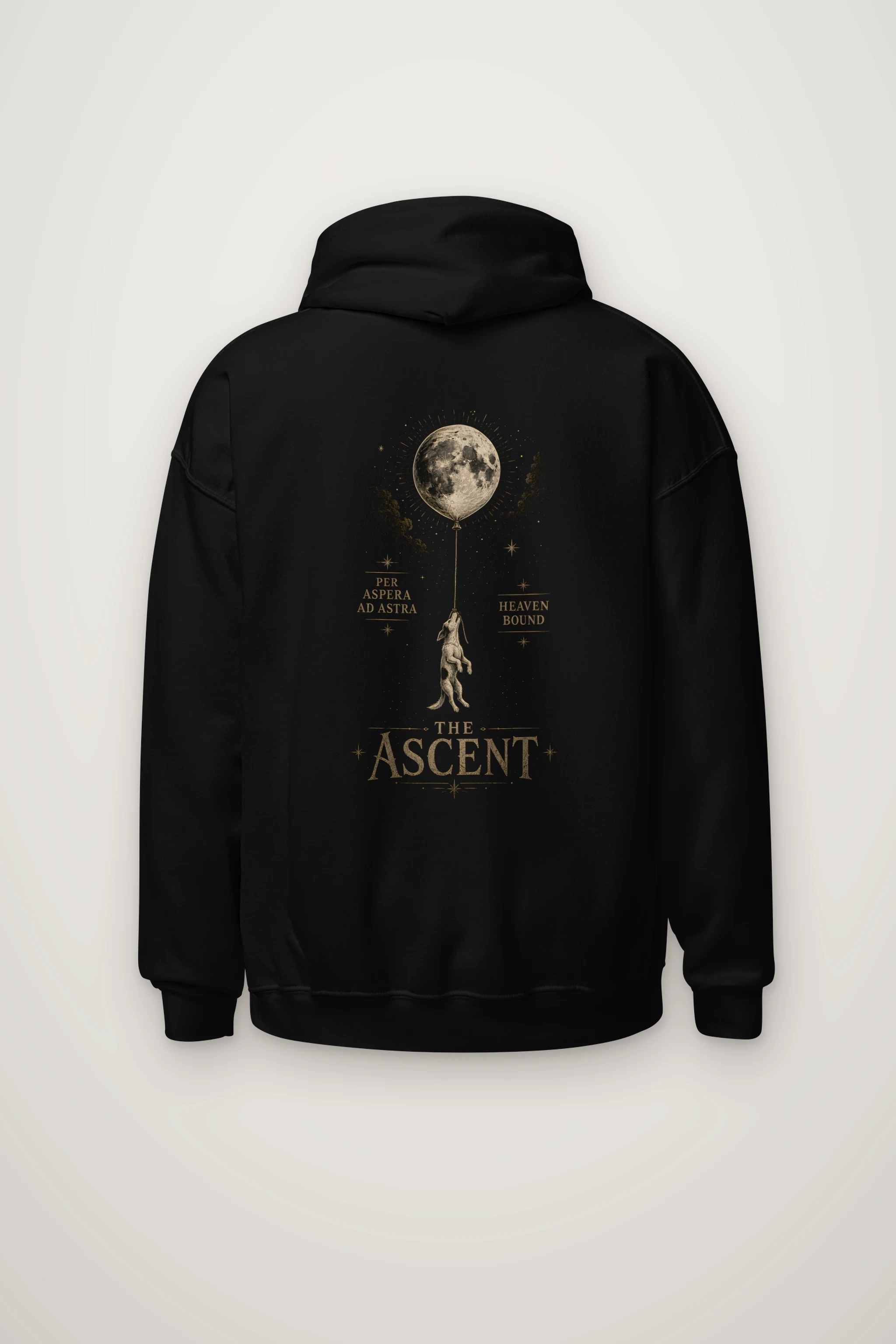 "Per Aspera Ad Astra" Heavy Blend Unisex Pullover Hoodie