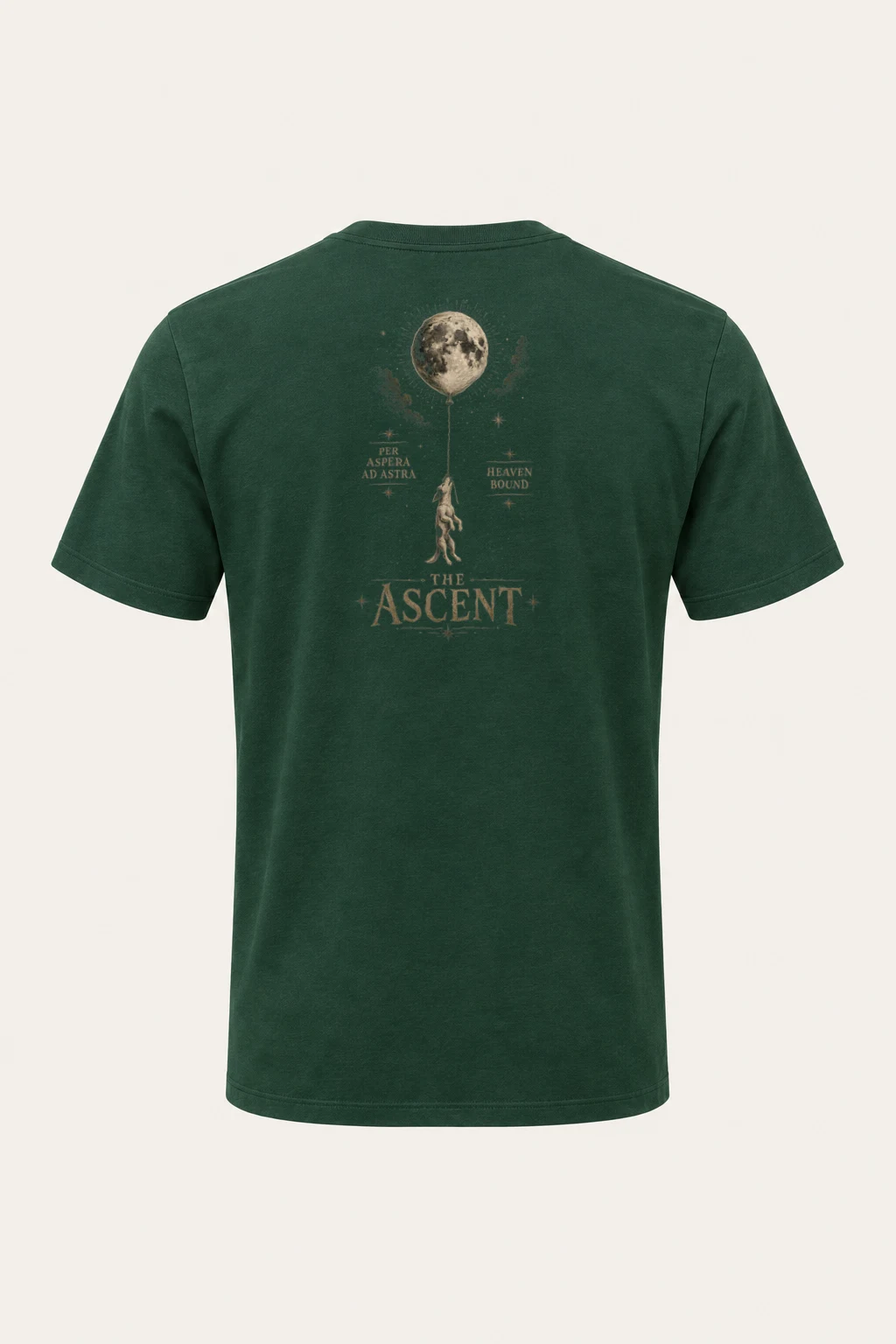 "Per Aspera Ad Astra" Heavyweight Unisex Crewneck T-shirt | Gildan 5000