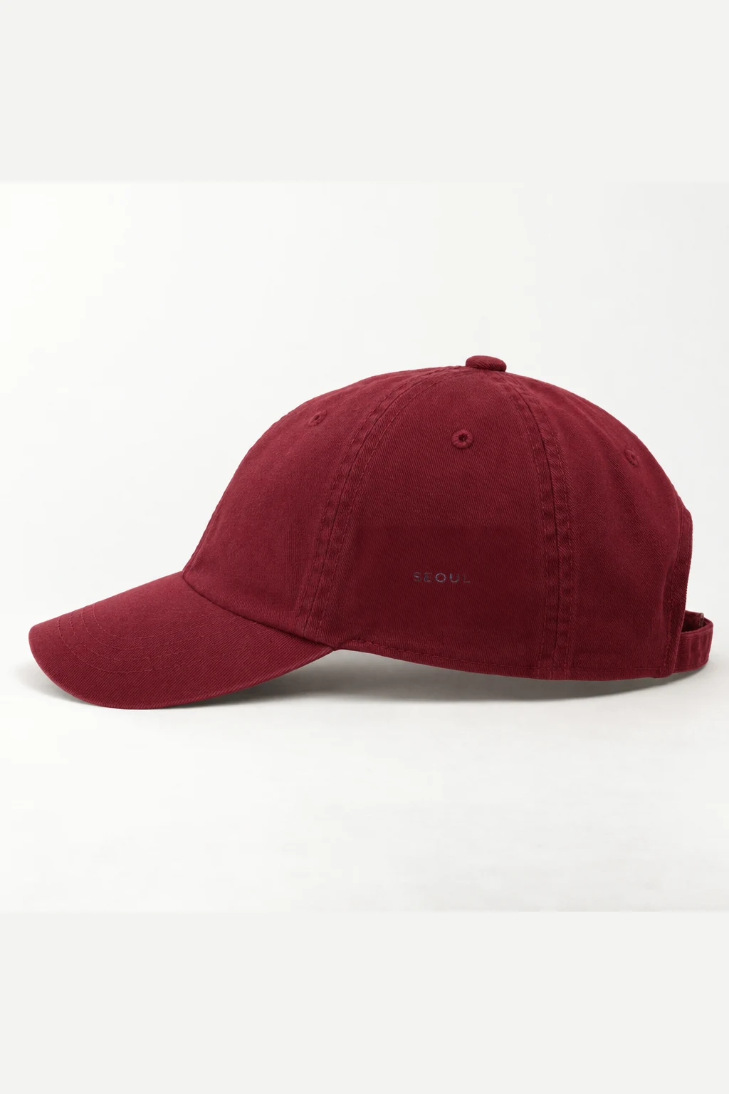 "Swell Ledger" Classic Dad Hat · Embroidered