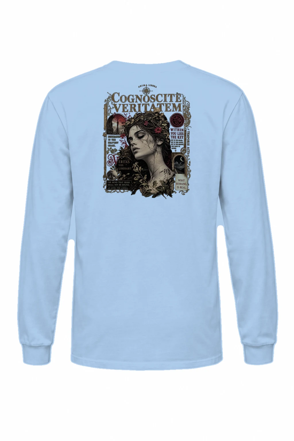 "Veritas Within" Unisex Longsleeve T-shirt | Gildan 2400
