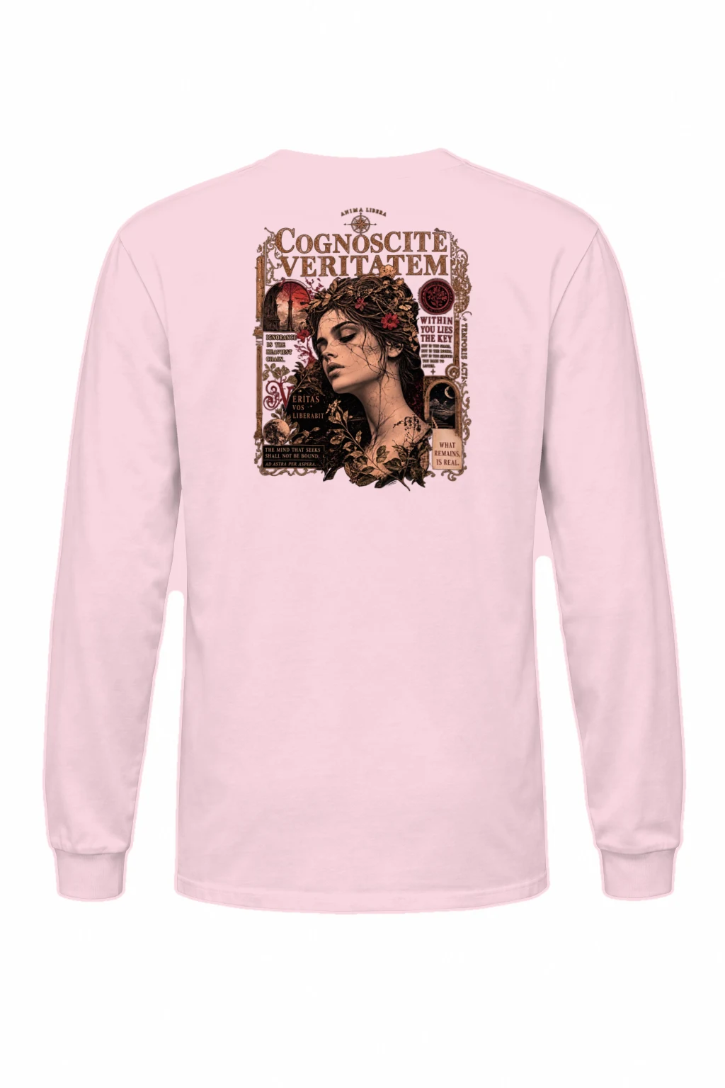 "Veritas Within" Unisex Longsleeve T-shirt | Gildan 2400
