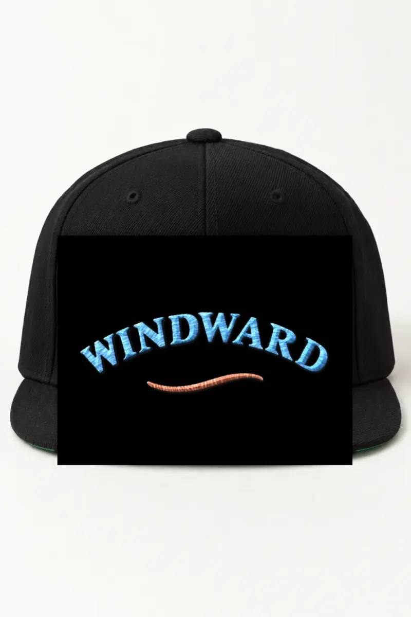 "Windward" Classic Snapback · Embroidered