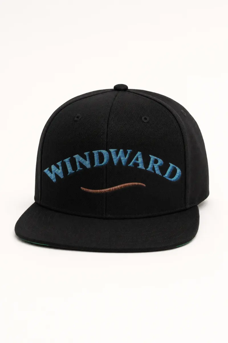 "Windward" Classic Snapback · Embroidered