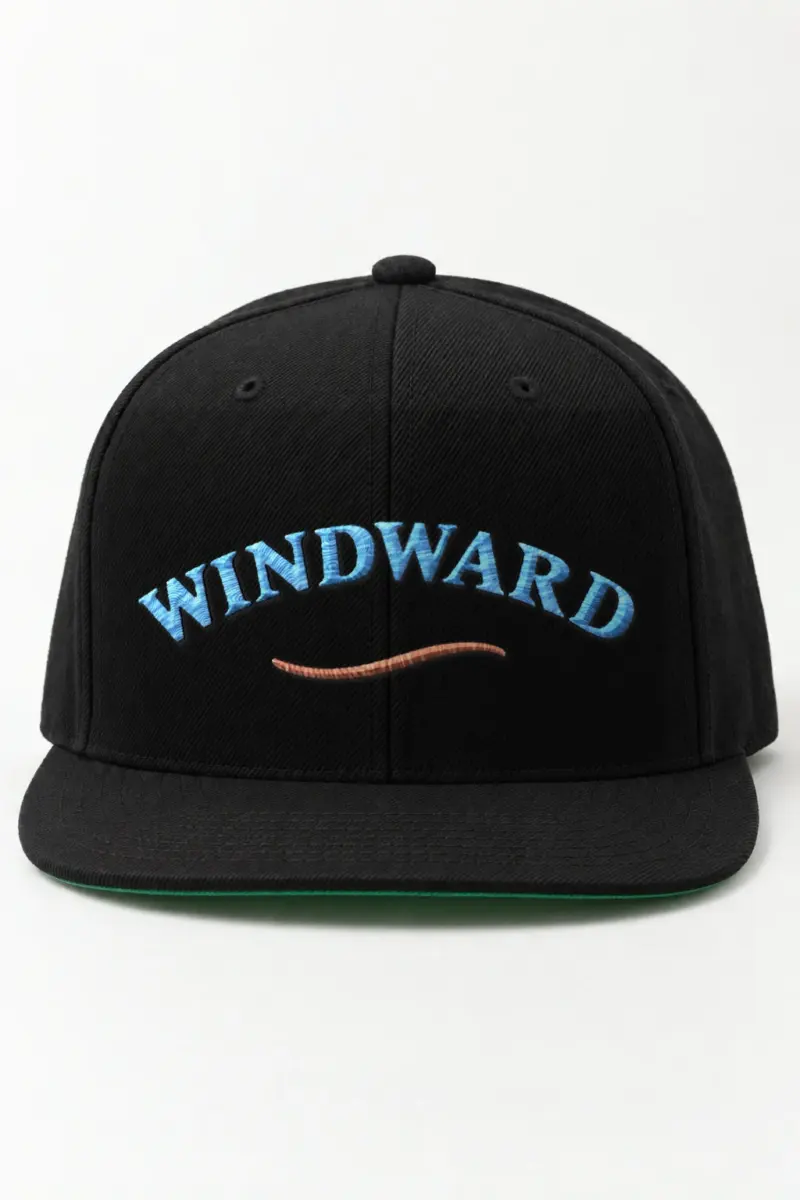 "Windward" Classic Snapback · Embroidered
