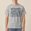 Sport Grey Heather