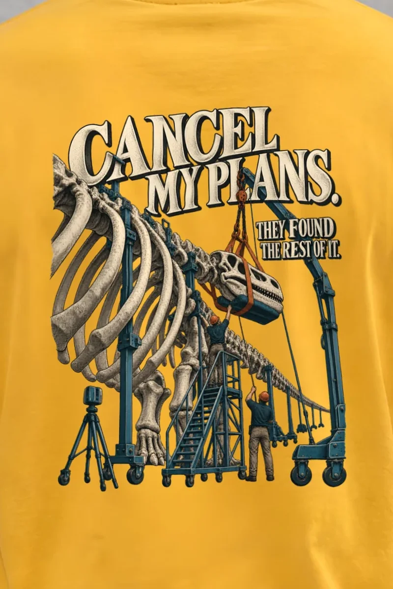 "Cancel My Plans" Heavyweight Unisex Crewneck T-shirt - the graphic up close