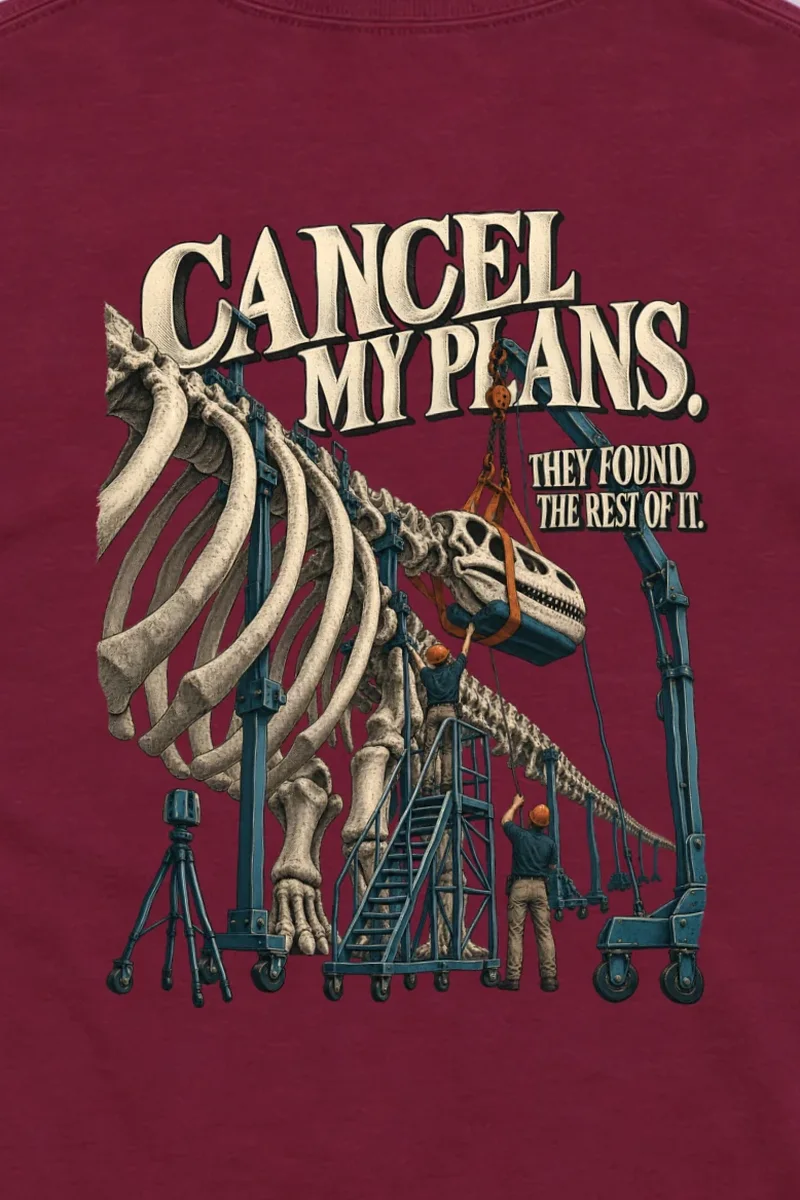 "Cancel My Plans" Unisex Longsleeve T-shirt - the graphic up close
