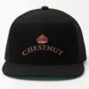 "CHESTNUT" Classic Snapback · Embroidered