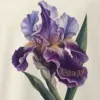 "Dressed for Dusk Iris" Men's Oversized Heavyweight Crewneck T-Shirt