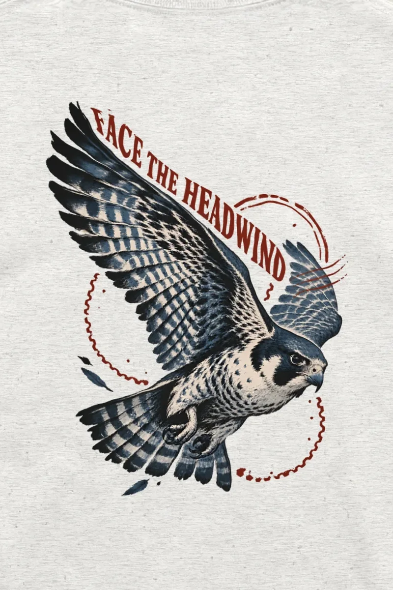 "Face the Headwind" Unisex Longsleeve T-shirt - the graphic up close