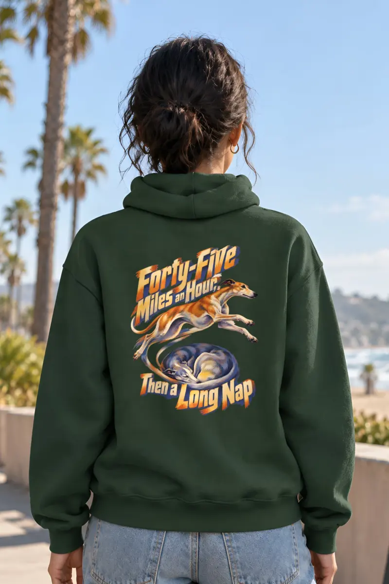 “Forty-Five Miles an Hour, Then a Long Nap” Heavy Blend Unisex Pullover Hoodie