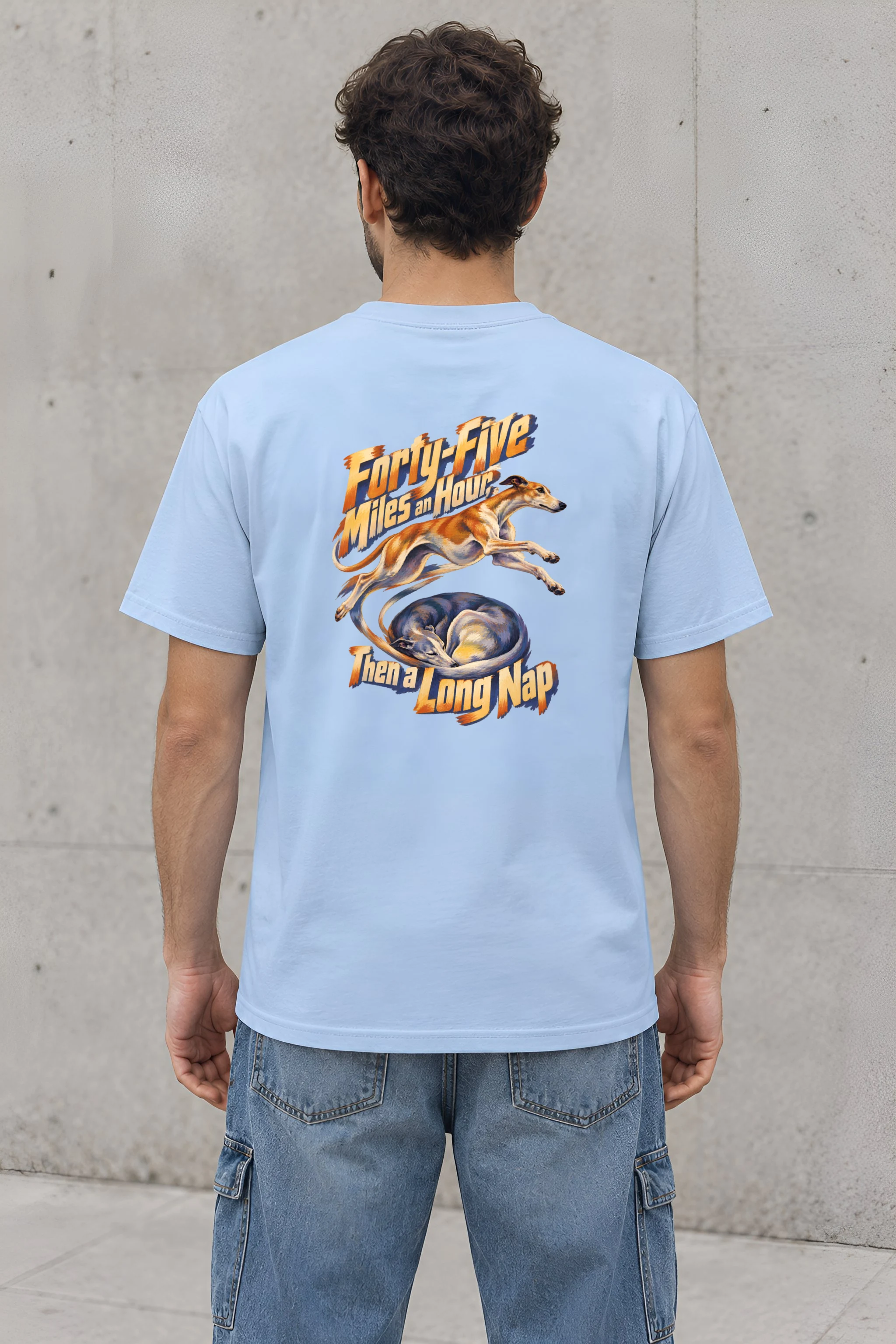 "Forty-Five Miles an Hour, Then a Long Nap" Heavyweight Unisex Crewneck T-shirt