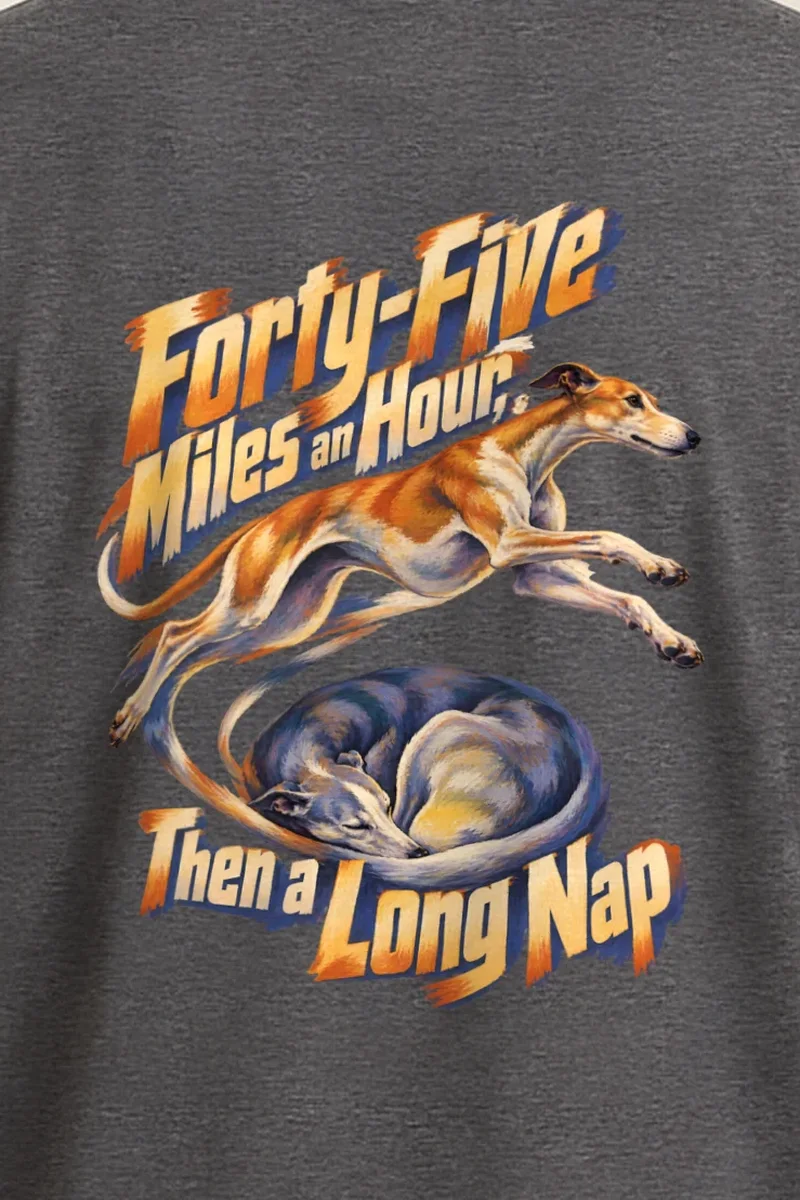 "Forty-Five Miles an Hour, Then a Long Nap" Heavyweight Unisex Crewneck T-shirt - the graphic up close