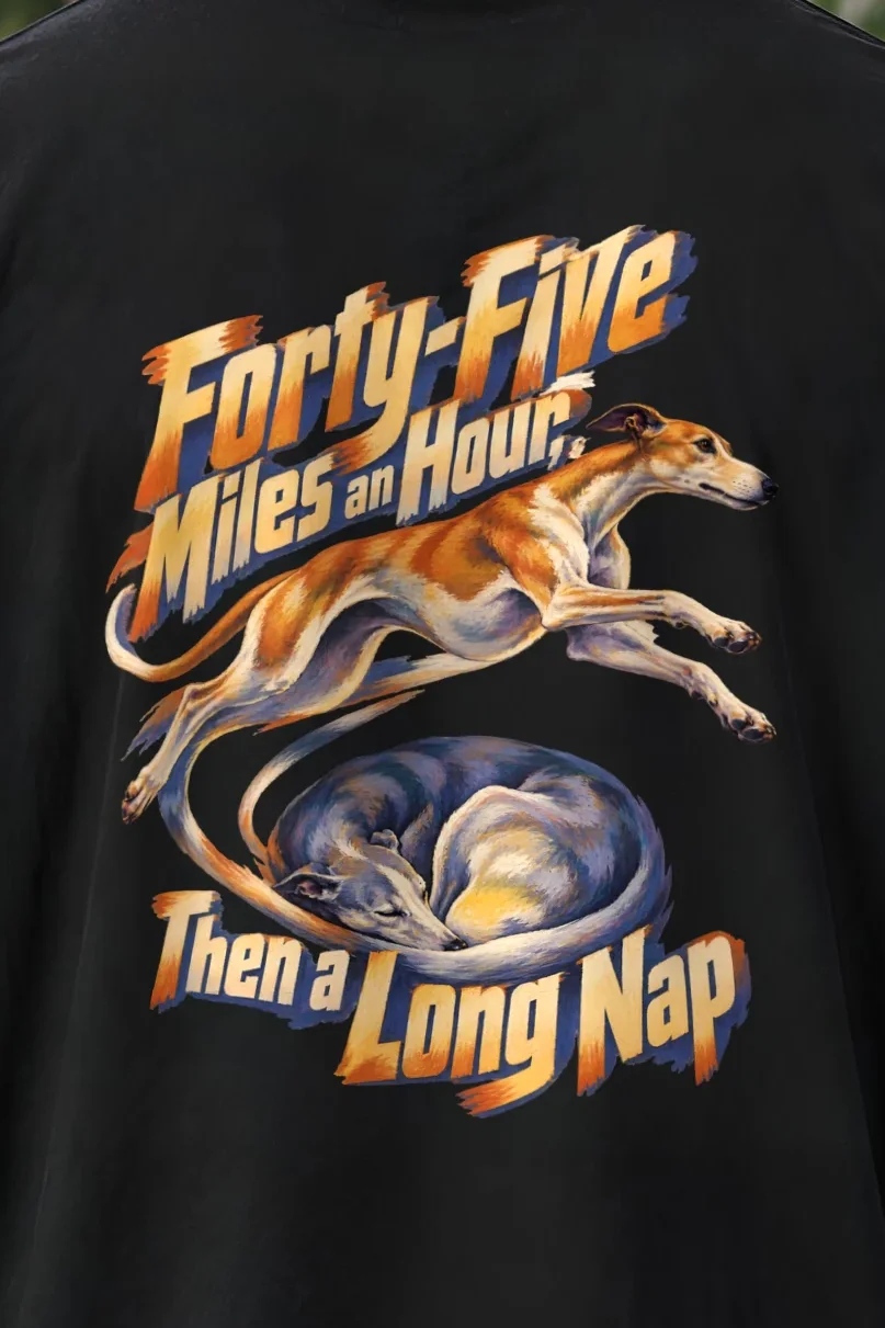 "Forty-Five Miles an Hour" Unisex Oversized Heavyweight Crewneck T-Shirt - the graphic up close
