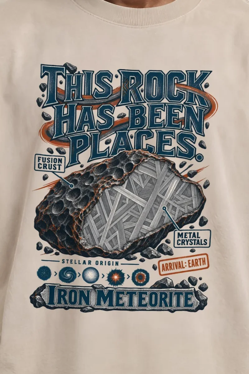 "Iron Meteorite" Men’s Oversized Heavyweight Crewneck T-Shirt - the graphic up close