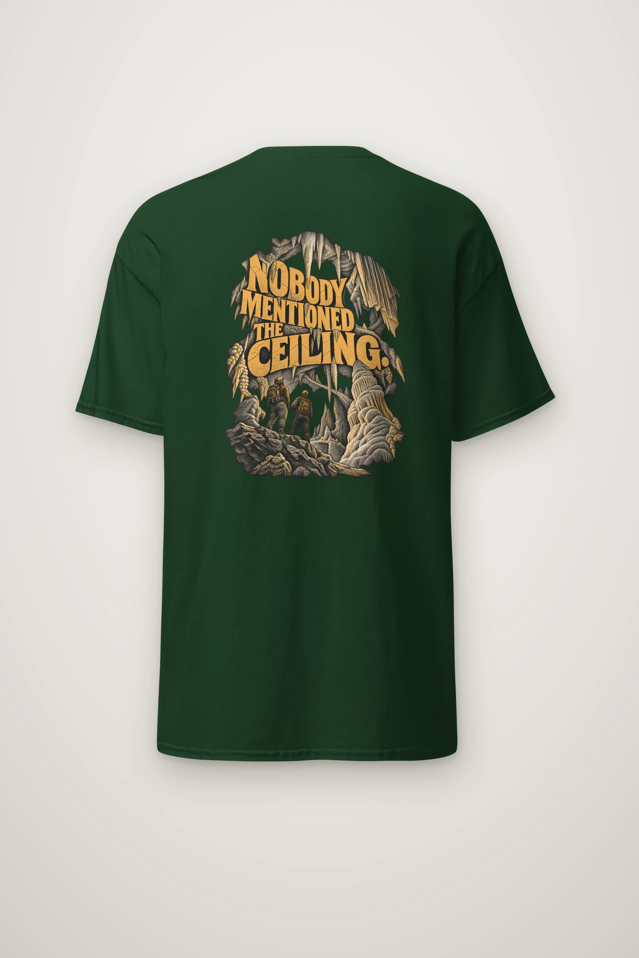 "Nobody Mentioned the Ceiling" Heavyweight Unisex Crewneck T-shirt