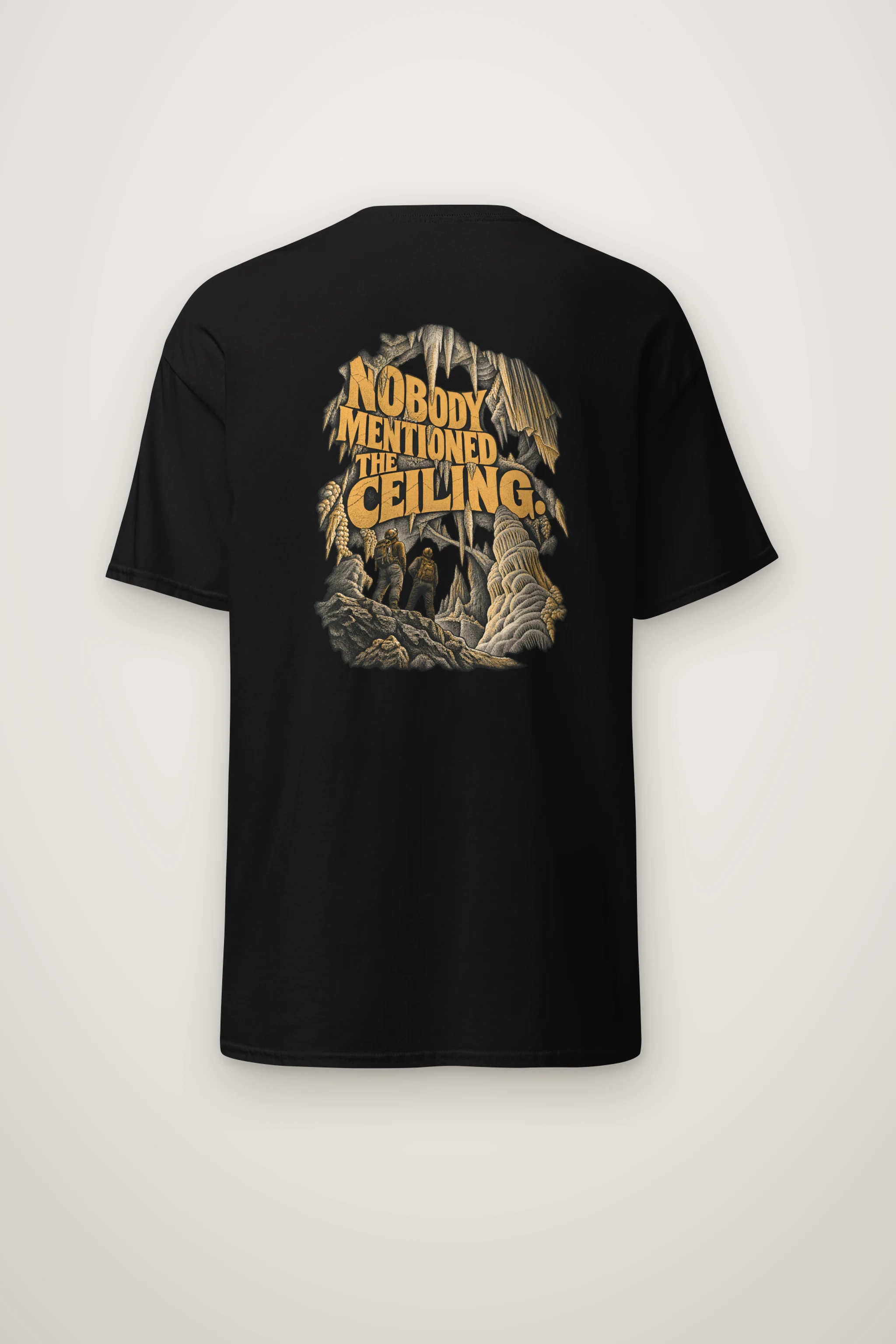 "Nobody Mentioned the Ceiling" Heavyweight Unisex Crewneck T-shirt