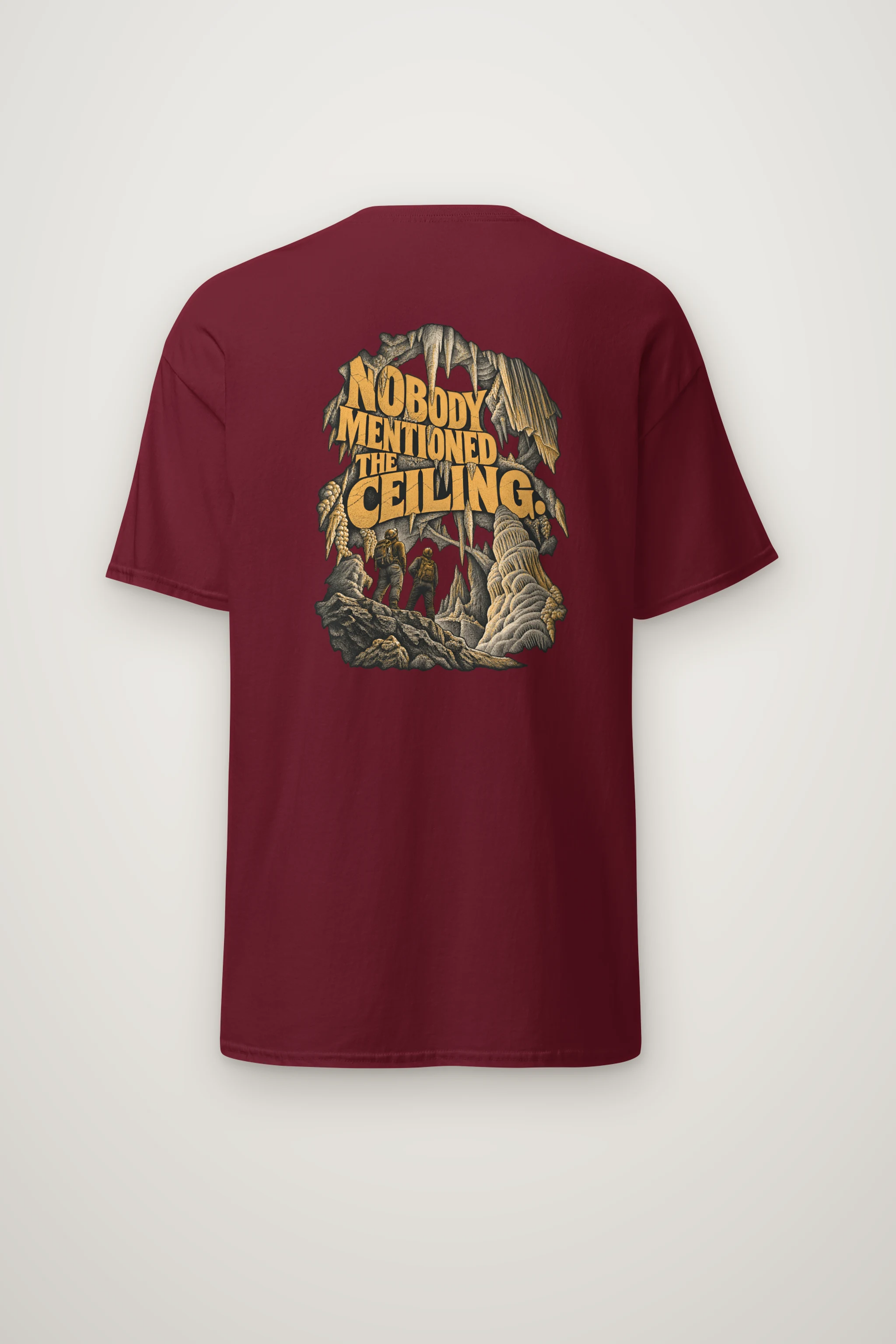 "Nobody Mentioned the Ceiling" Heavyweight Unisex Crewneck T-shirt